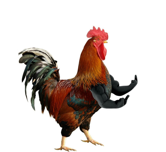 Funny Fighting Chicken Arms Toy – Artificial Muscle Arms Costume Accessory for Pigeon Hen Novelty Farmyard Entertainment Prop.