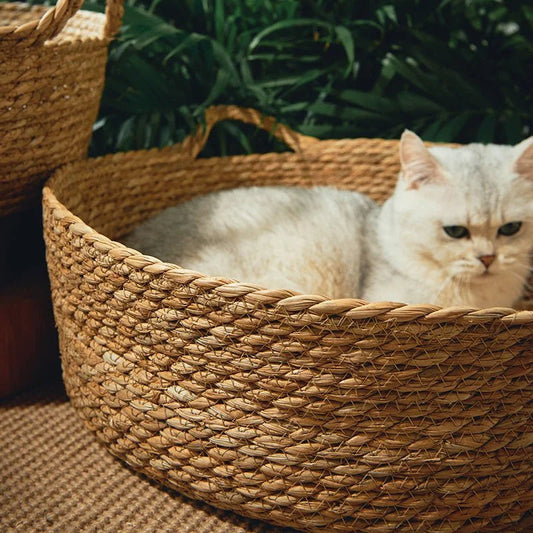 Handwoven Rattan Cat Bed – Cozy Scratch-Resistant Nest with Detachable, Washable Warmth Pad for Winter Comfort
