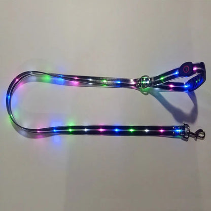 USB Rechargeable Light Up LED Dog Leash - Pet Leash with Durable Webbing, Night Safety Walking Accessory for Dogs Visibility