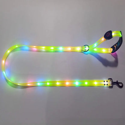 USB Rechargeable Light Up LED Dog Leash - Pet Leash with Durable Webbing, Night Safety Walking Accessory for Dogs Visibility