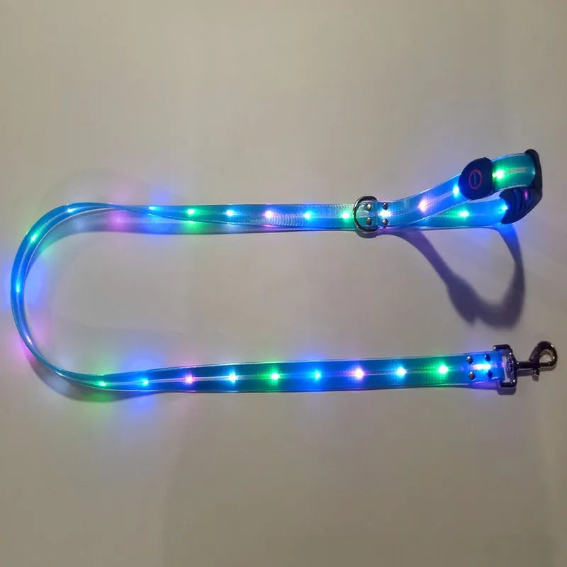 USB Rechargeable Light Up LED Dog Leash - Pet Leash with Durable Webbing, Night Safety Walking Accessory for Dogs Visibility