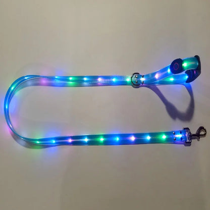 USB Rechargeable Light Up LED Dog Leash - Pet Leash with Durable Webbing, Night Safety Walking Accessory for Dogs Visibility