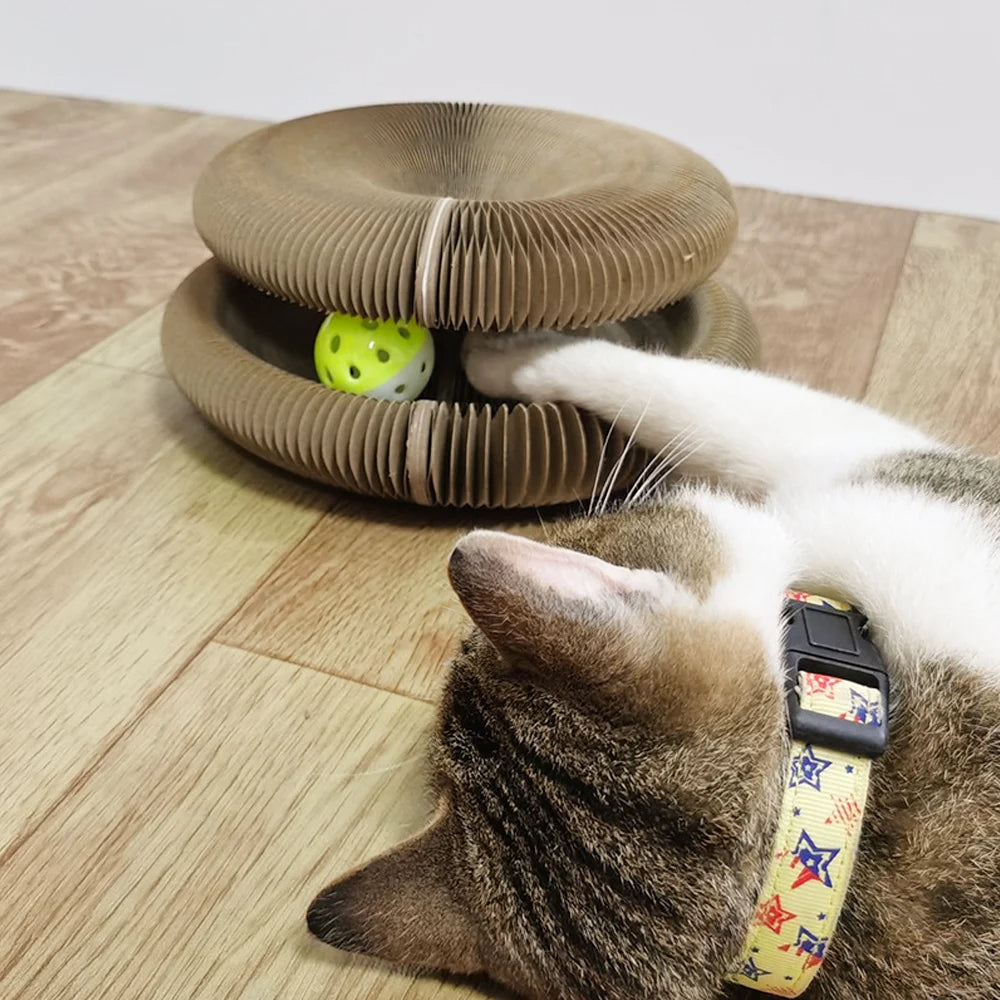 Foldable Cat Scratch Board – Magic Organ Toy with Bell for Happy Paws