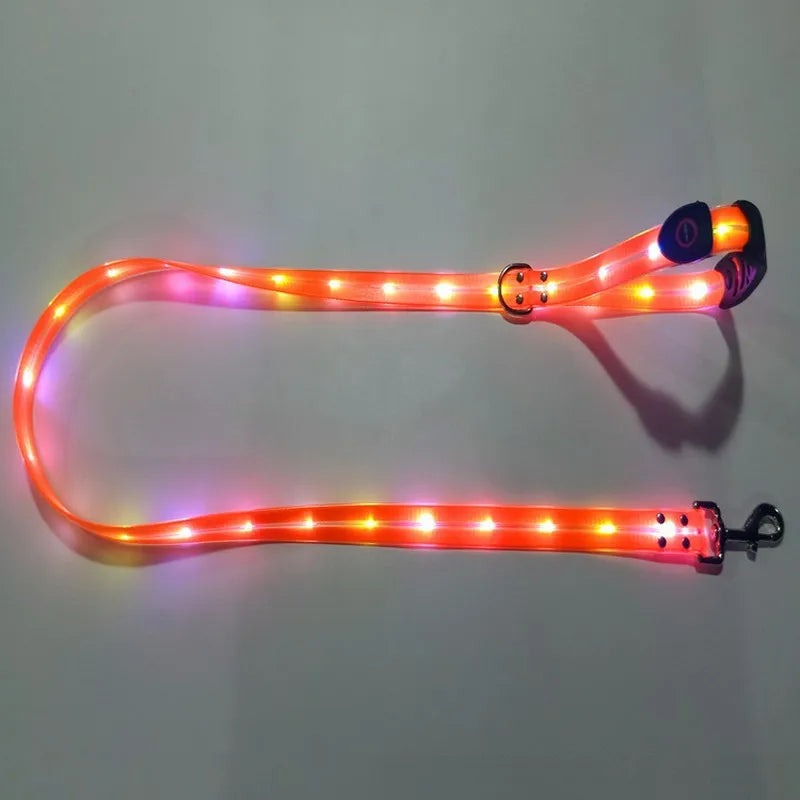 USB Rechargeable Light Up LED Dog Leash - Pet Leash with Durable Webbing, Night Safety Walking Accessory for Dogs Visibility