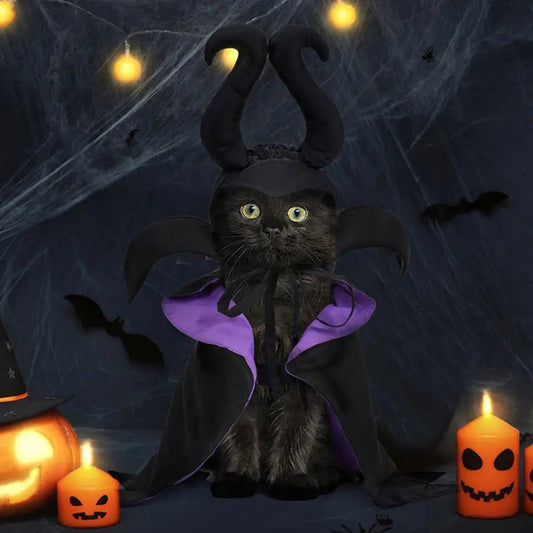 Pet Halloween Costume Set - Witch Cloak Wizard Outfit for Dogs and Cats, Funny Cosplay Apparel for Halloween Party Dress Up