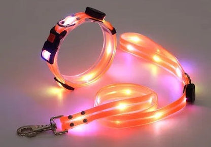 USB Rechargeable Light Up LED Dog Leash - Pet Leash with Durable Webbing, Night Safety Walking Accessory for Dogs Visibility