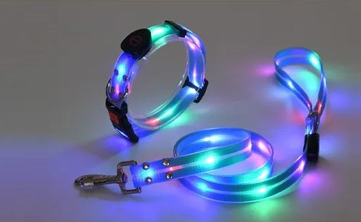 USB Rechargeable Light Up LED Dog Leash - Pet Leash with Durable Webbing, Night Safety Walking Accessory for Dogs Visibility
