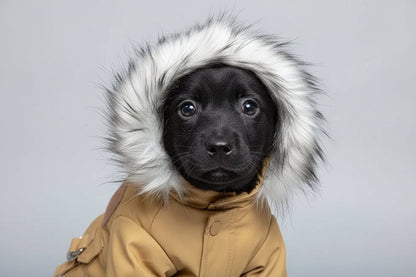 Winter Dog Coat Jacket - Warm Thick Pet Clothing for Small and Medium Dogs, Cozy Hoodie Outfit for Cold Weather Protection