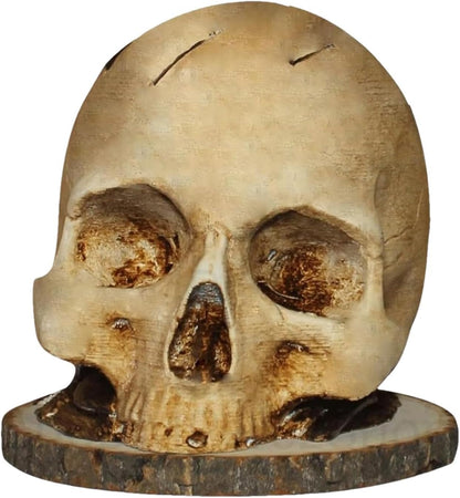 Skull Knife Holder – Unique Skeleton Head Kitchen Storage Rack, Horror Knife Stand and Fruit Rack Halloween Home Decoration