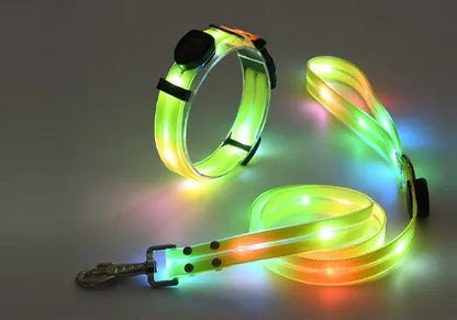 USB Rechargeable Light Up LED Dog Leash - Pet Leash with Durable Webbing, Night Safety Walking Accessory for Dogs Visibility