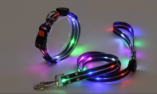 USB Rechargeable Light Up LED Dog Leash - Pet Leash with Durable Webbing, Night Safety Walking Accessory for Dogs Visibility