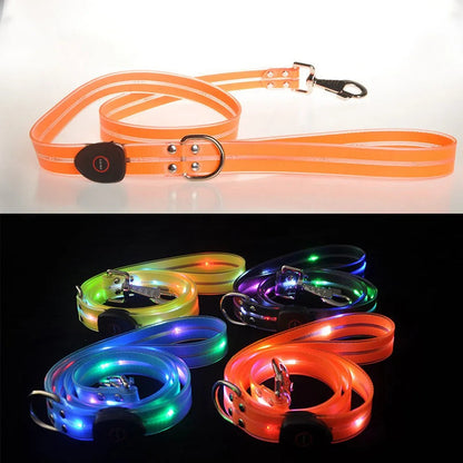 USB Rechargeable Light Up LED Dog Leash - Pet Leash with Durable Webbing, Night Safety Walking Accessory for Dogs Visibility