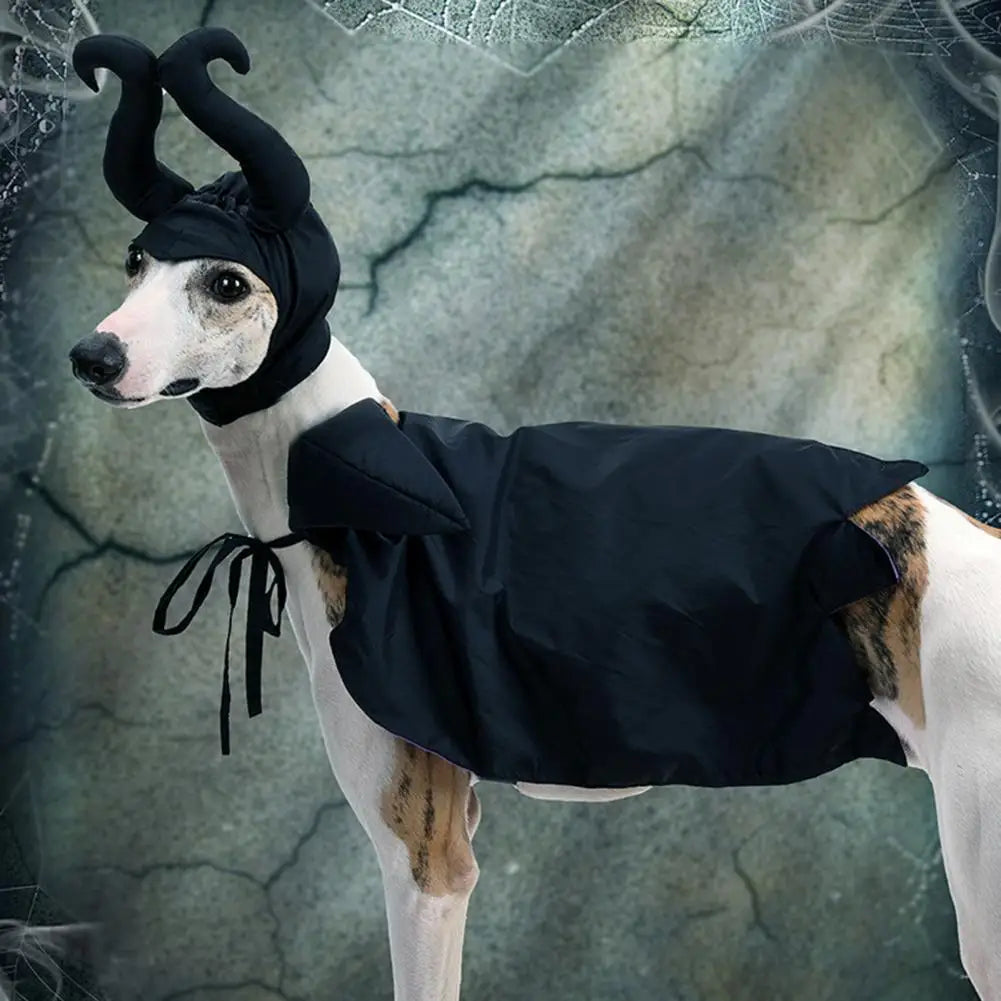Pet Halloween Costume Set - Witch Cloak Wizard Outfit for Dogs and Cats, Funny Cosplay Apparel for Halloween Party Dress Up