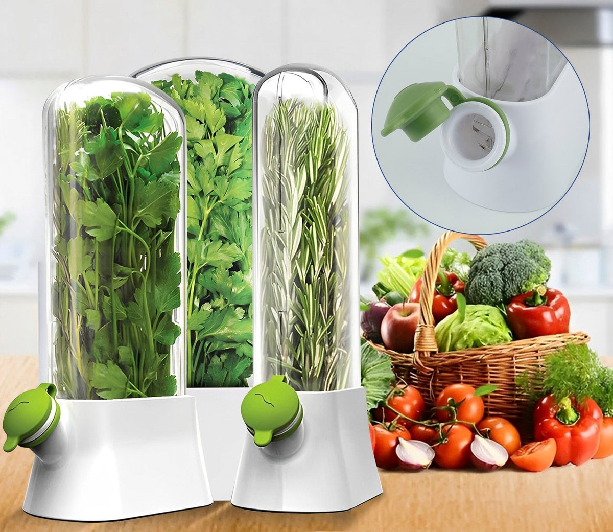 Herb Saver Container for Refrigerator – Fresh Herb Keeper Pod for Cilantro, Parsley and Vegetable Storage Kitchen Tool