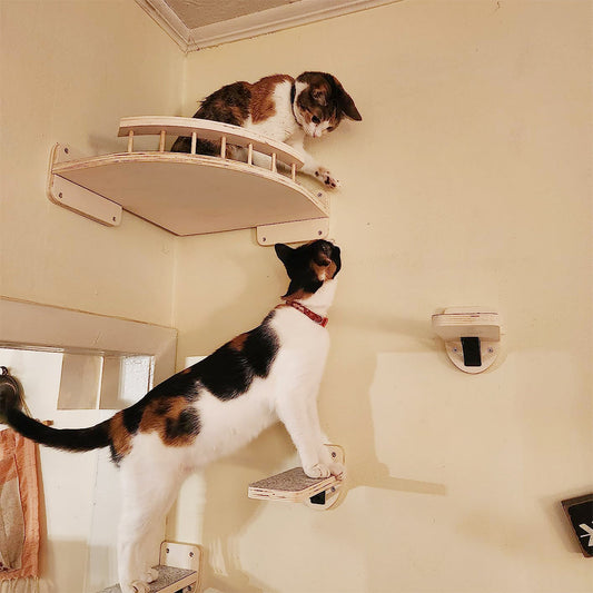Wall Mounted Cat Climbing Shelf with Sisal Scratching Post – Four Step Stairway Platform Tree Gym Furniture for Active Indoor Cats.