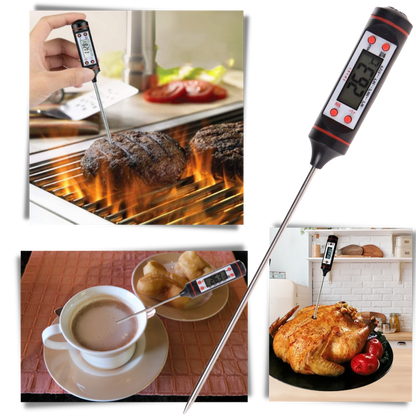 Digital food thermometer