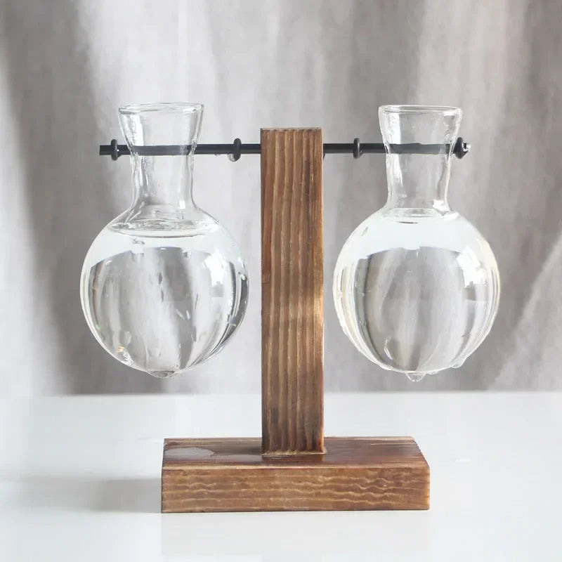 Light Bulb Vase with Wood Stand - Hydroponic Propagation Glass Station for Desktop Home or Office Botanical Decor