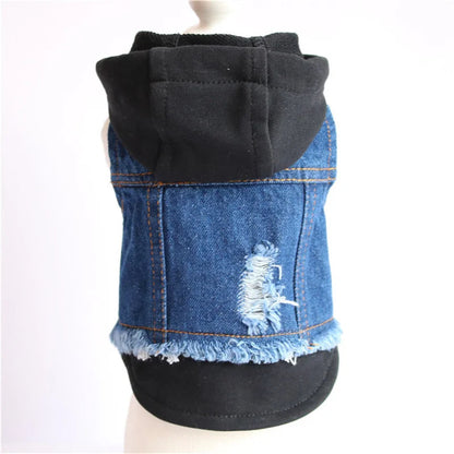Denim Dog Jacket with Hoodie – Stylish Blue Jeans Coat for Small to Medium Pups