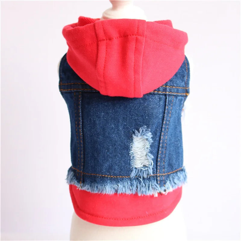 Denim Dog Jacket with Hoodie – Stylish Blue Jeans Coat for Small to Medium Pups
