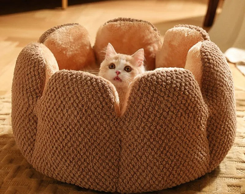 Cactus Petal Cat Bed – Soft & Cozy Winter Nest for Small Dogs & Cats
