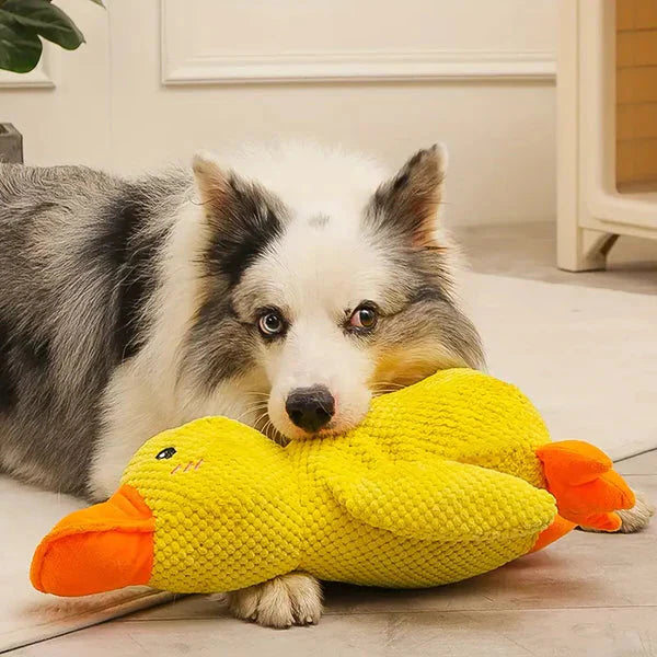 Calming Durable Duck