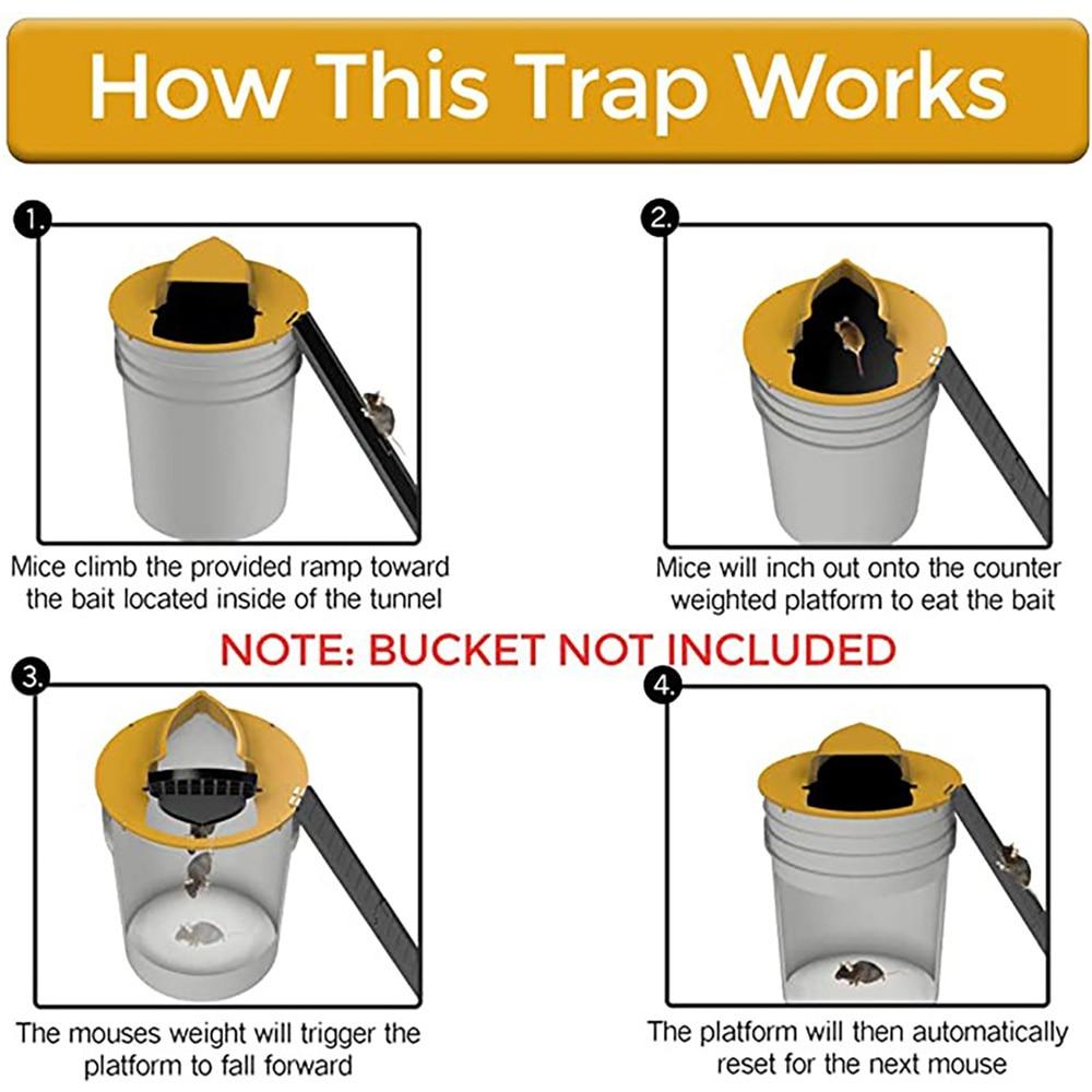 Flip 'n Slide Mouse Trap