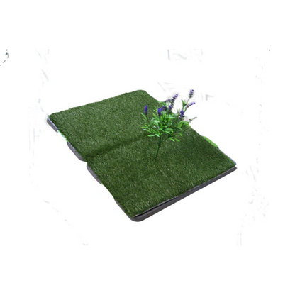 Indoor Grass