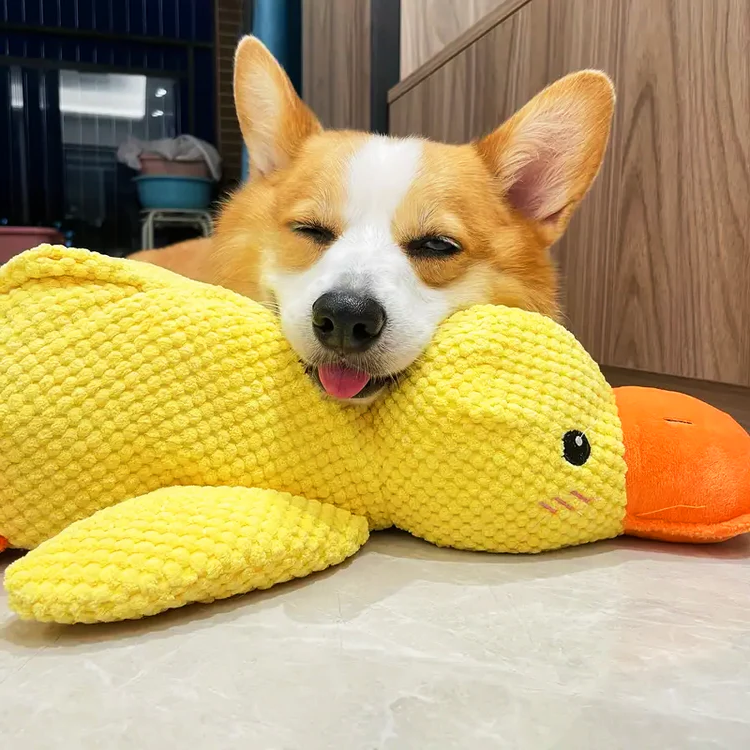 Calming Durable Duck